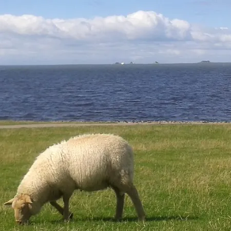 بيت ضيافة Garni Morsum